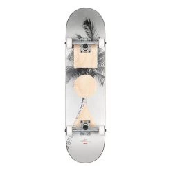 GLOBE G1 Stack Lone Palm 8.0